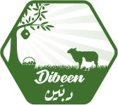 Dibeen Food