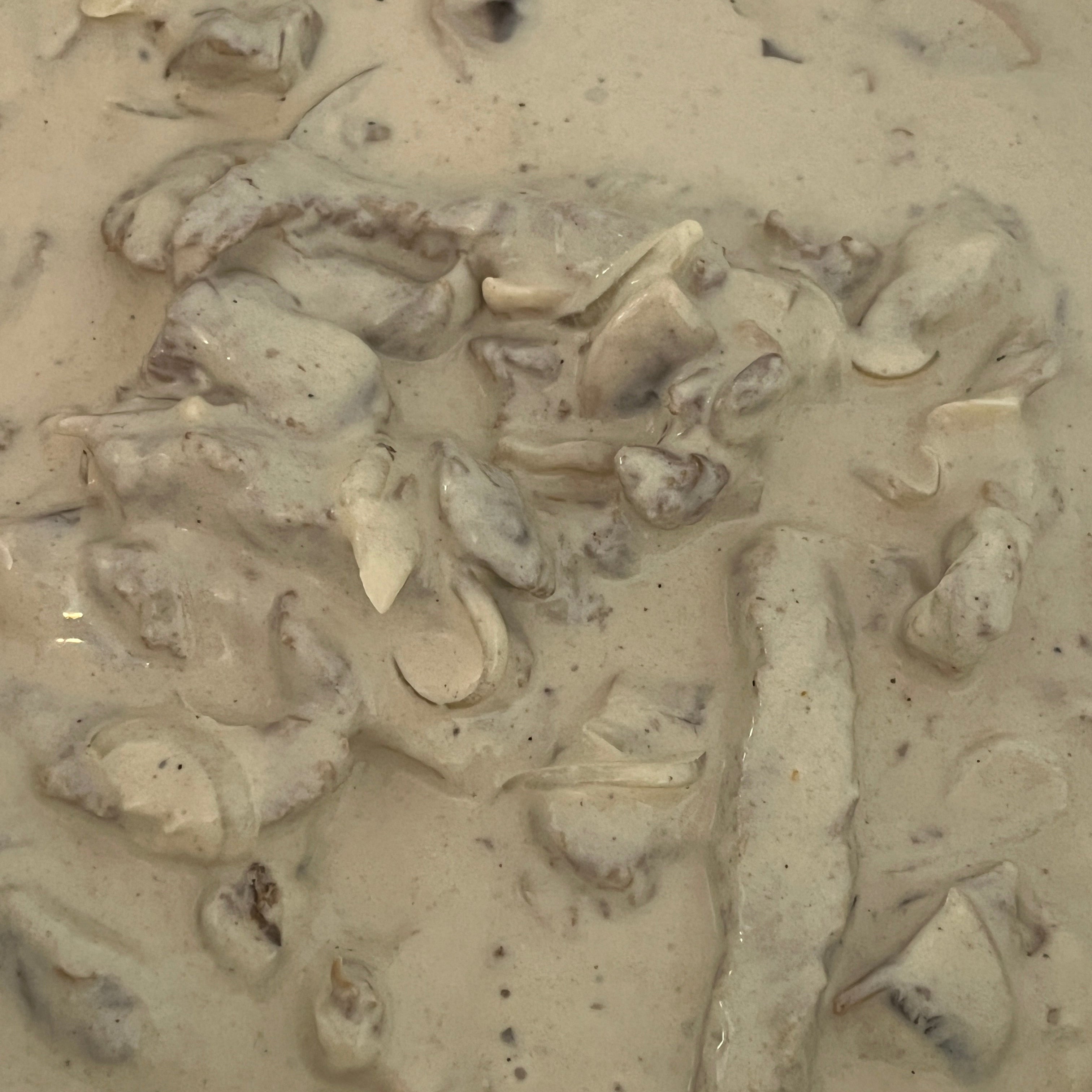 Family Beef Stroganoff ستروغانوف العيله