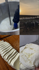 Halloumi Cheese - جبنة حلوم