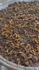 Kubbeh Bil Senyeh  كبة بالصينية العيلة