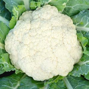 Organic Cauliflower