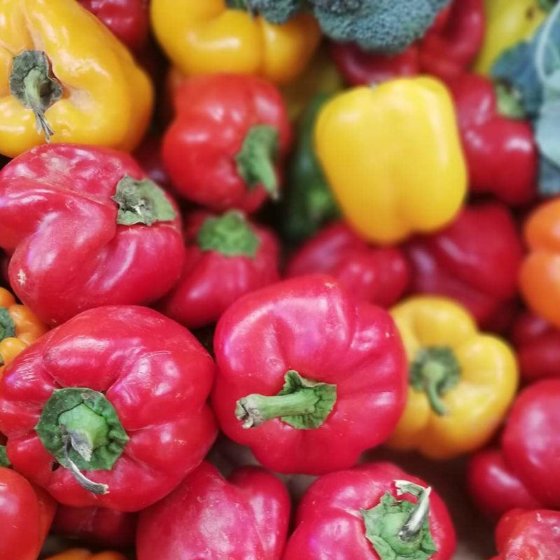 Organic Colored Pepper