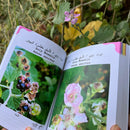 Sun Sisters: A Field Guide to Levant Flowers