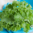 Organic Kale (1 bunch)